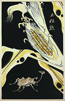 Yoka: Ito Jakuchu (1716 - 1800