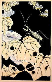 Mantis: Ito Jakuchu (1716 - 1800
