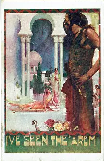 Harems: I've Seen The Arem by Arthur Branscombe