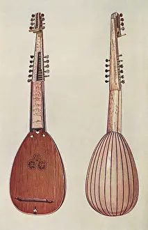 Imagery: Ivory Theorbo
