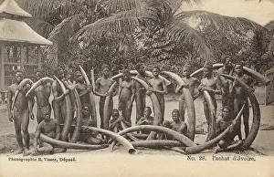 Vili: Ivory - Vili Tribesmen - Elephant Hunters