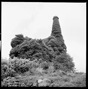 Tamar: An ivy covered engine house and chimney, probably