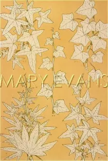 Traced: IVY / HEDERA HELIX 1868