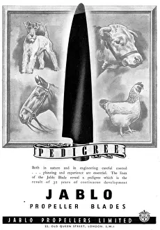 Jablo: Jablo Propeller Blades 1944