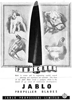 Jablo: Jablo Propellers