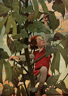 Jessie: Jack and the Bean Stalk