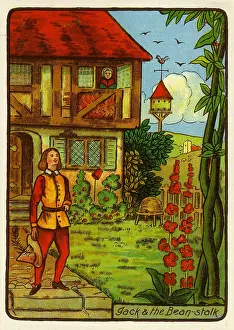 Hollyhocks: Jack & the Beanstalk