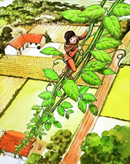 Beanstalk: Jack and the Beanstalk