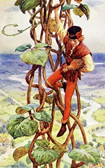 Tights: Jack and the Beanstalk, descending with the hen