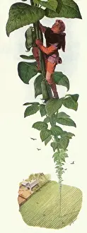 Stalk: Jack climbing the Bean Stalk