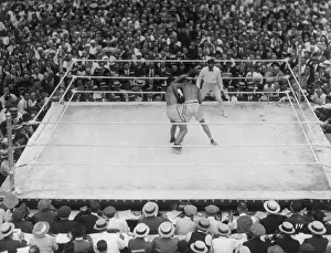 Manassa Mauler: Jack Dempsey and Georges Carpentier boxing for the