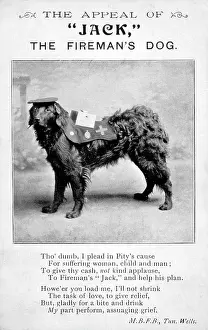 Stated: JACK, FIREMAN'S DOG