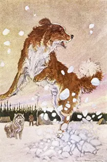 Blinding: JACK LONDON/CALL OF WILD