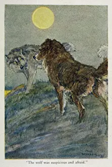 Apprehension: JACK LONDON/CALL OF WILD