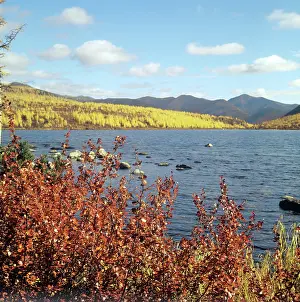 Belyavy: Jack London Lake, 1973