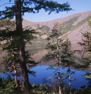 Belyavy: Jack London Lake, 1977