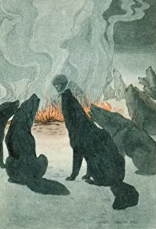 Bolder: JACK LONDON/WHITE FANG