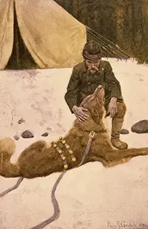 Hals: Jack London - Call of the Wild - Thornton
