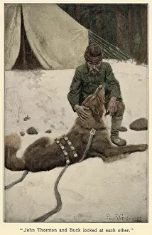 Rescues: Jack London - Call of the Wild - Thornton
