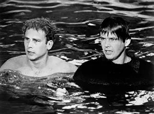 Carnal: Jack Nicholson - Art Garfunkel - Celebrity