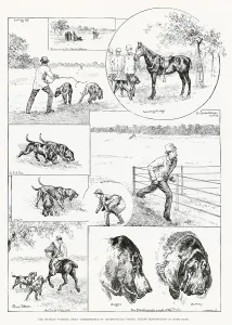 Bloodhounds: Jack the Ripper - detective bloodhounds