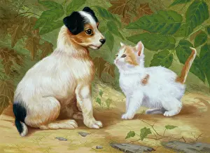 Denby: Jack Russell Puppy and Kitten