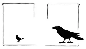 Crust: Jack Sparrow asks the tame raven for help