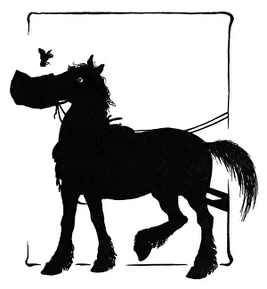 Nosebag: Jack Sparrow and the horse