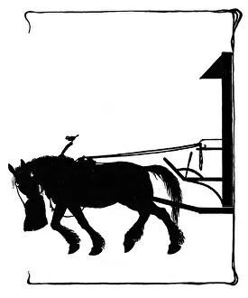 Nosebag: Jack Sparrow perched on the horse