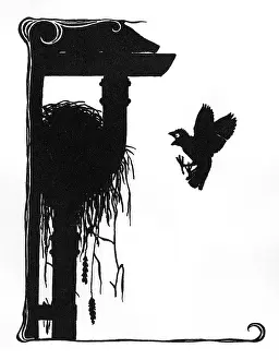 Crust: Jack Sparrow shocked to find the nest empty