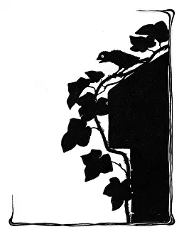 Crust: Jack Sparrow sitting on the ivy