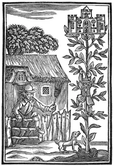 Beanstalk: Jack Spriggins and the Enchanted Bean