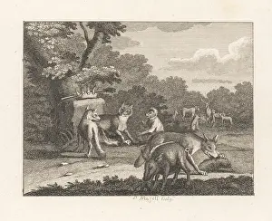 Turnip: The Jackall, Leopard and Other Beasts