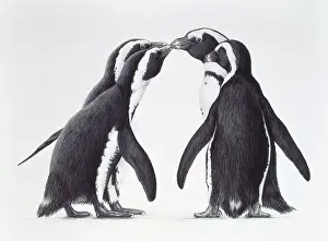 Jackass: Jackass Penguins