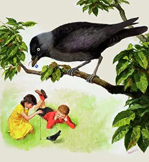 Jackdaw: Jackdaw