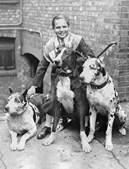 Palladium: Jackie Coogan with dogs