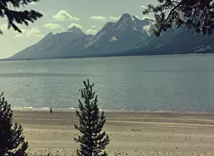 Teton: Jackson Hole - Wyoming