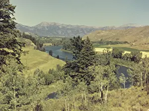 Anne Burton: Jackson Hole - Wyoming