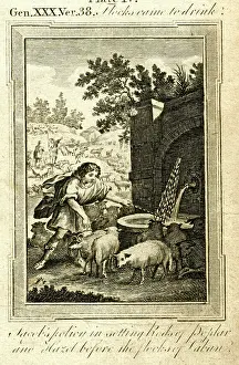 1780s: Jacob and the flocks of Laban