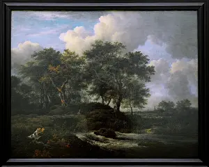 Pinakothek: Jacob Isaacksz van Ruisdael (1629-1682). Dutch Golden Age la