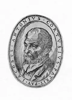 Antonius: JACOBUS CORTUSIUS