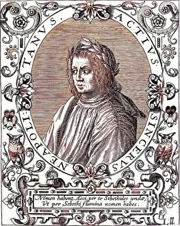 Derived: JACOPO SANNAZARO