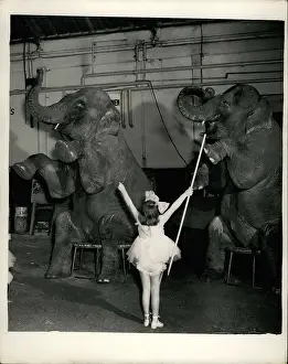 Hyltons: Jacqueline Smart, age 5, with elephants