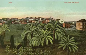 Japho: Jaffa - Israel - View close to the Gardens