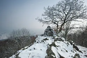 Jager: Jagerdenkmal - Hartmannswillerkopf