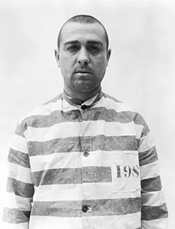 Arrogance: Jailbird