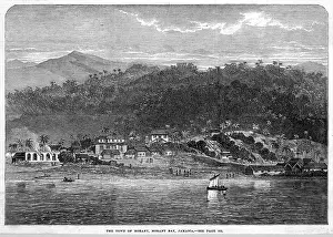 Morant: JAMAICA MORANT