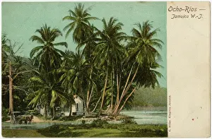 Rios: Jamaica - Ocho Rios