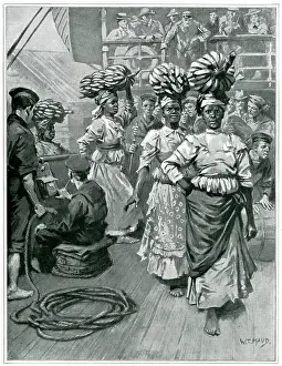Exporting: Jamaican Export of Bananas 1901