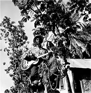 Gaily: JAMAICAN TROUBADOUR